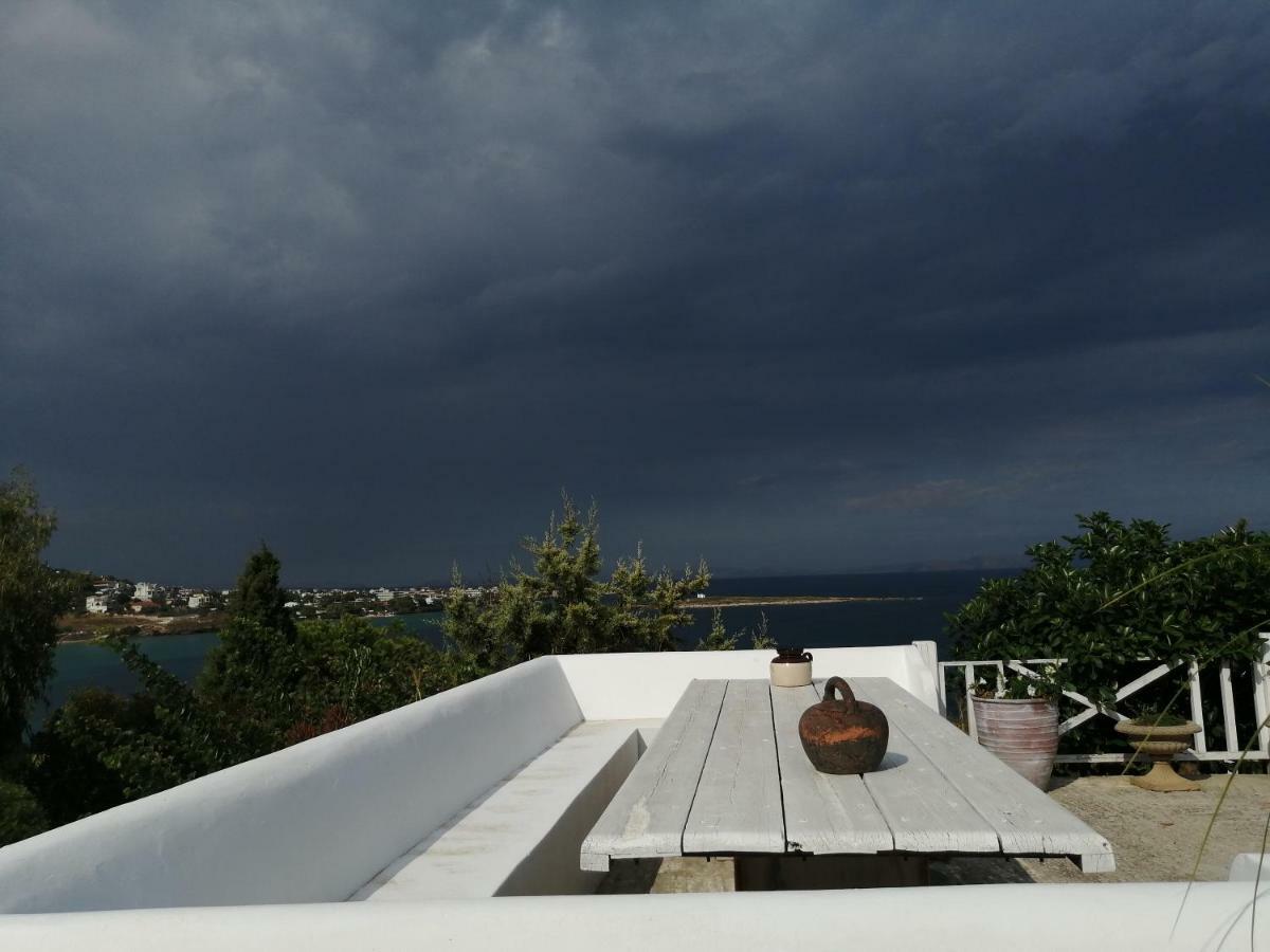 Artemis Villa Near Athens Airport Markopoulo Mesogaias Bagian luar foto