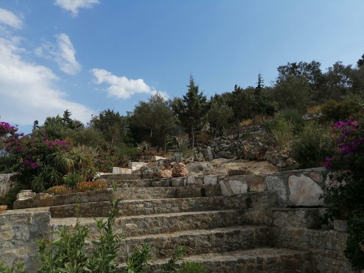 Artemis Villa Near Athens Airport Markopoulo Mesogaias Bagian luar foto